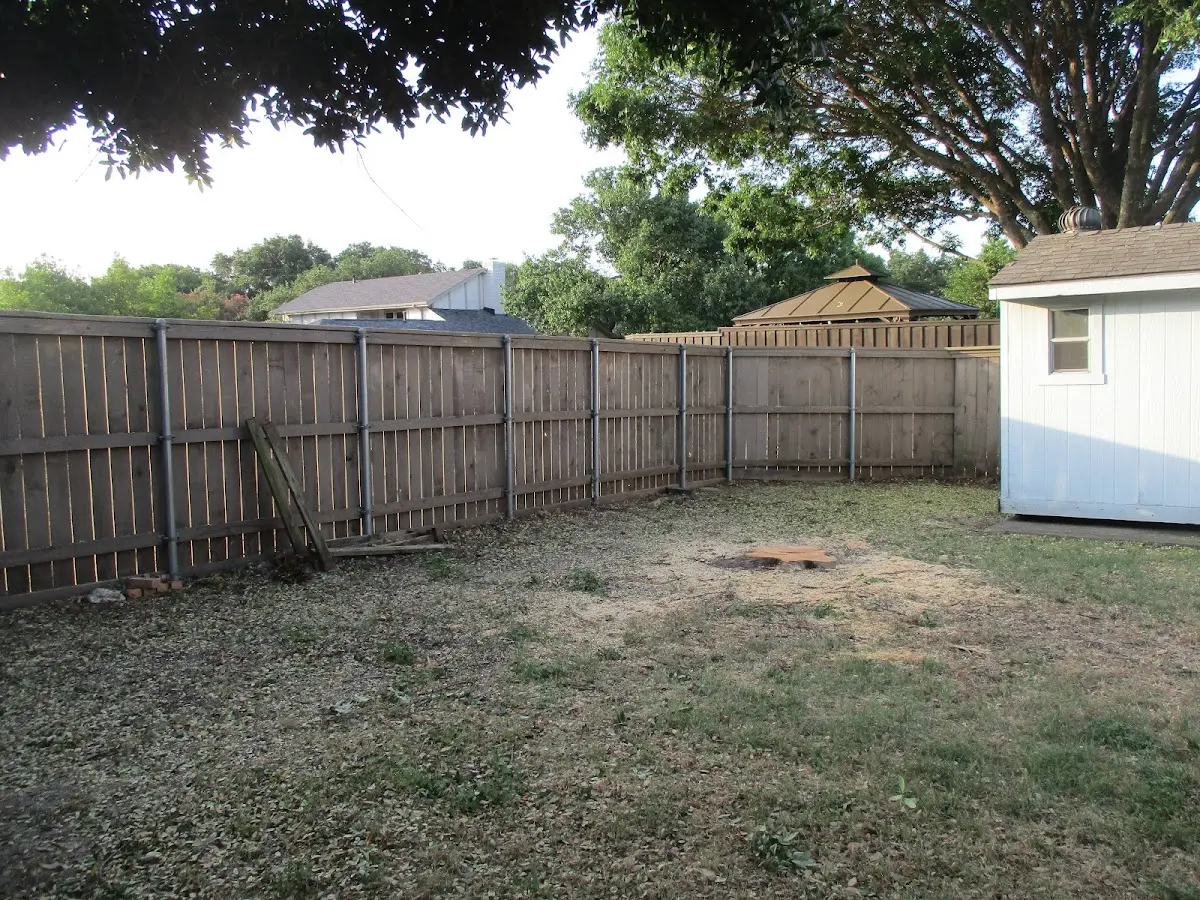 Cleared yard after professional tree removal in Ozone Park